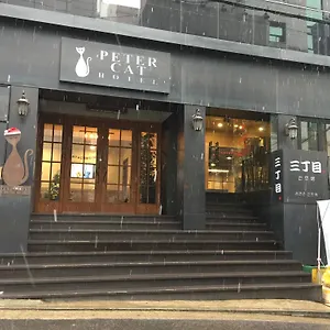 ピーターキャット シンチョン（ホンデ） ホテル ソウル特別市
